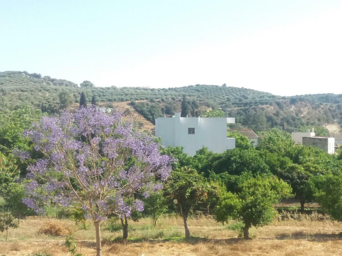 Vrondos Apartments Faneromeni  Exterior foto